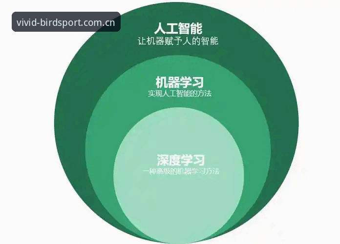 小鸟体育平台最新打不开问题深度评测：原因分析与实战解决方案