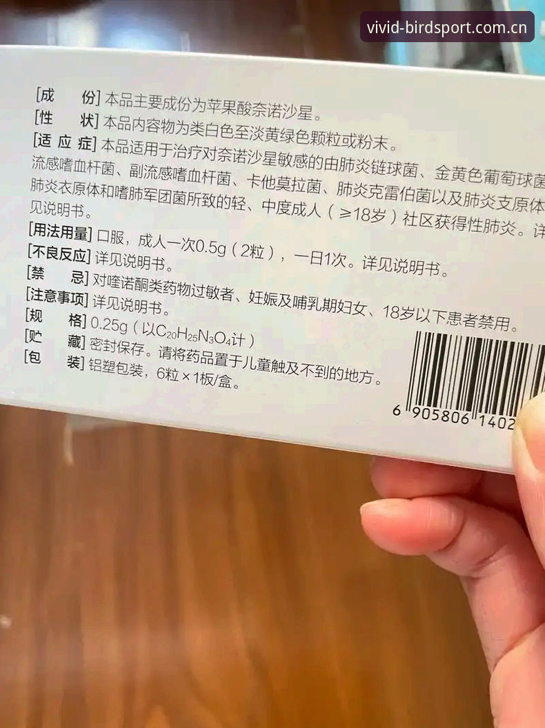 小鸟体育最新版本2026实用指南：功能升级与下载必备知识