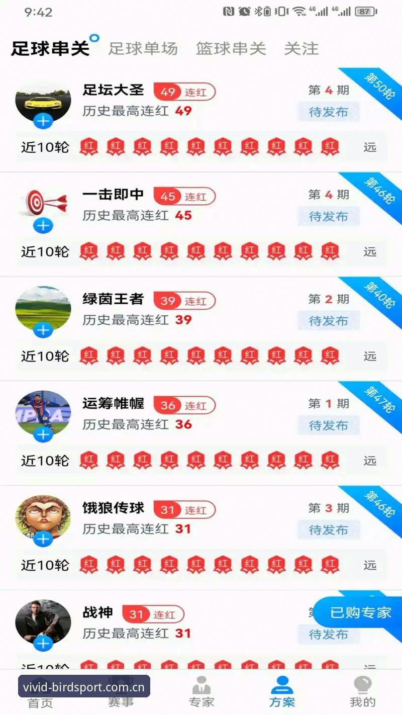 小鸟体育平台深度评测：从下载到直播的全流程体验报告