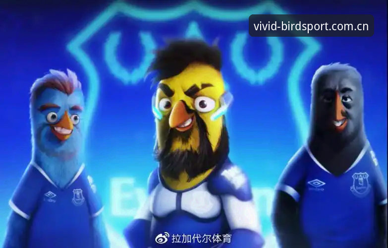 小鸟体育论坛vs官方APP：新手选择对比与详细操作指南
